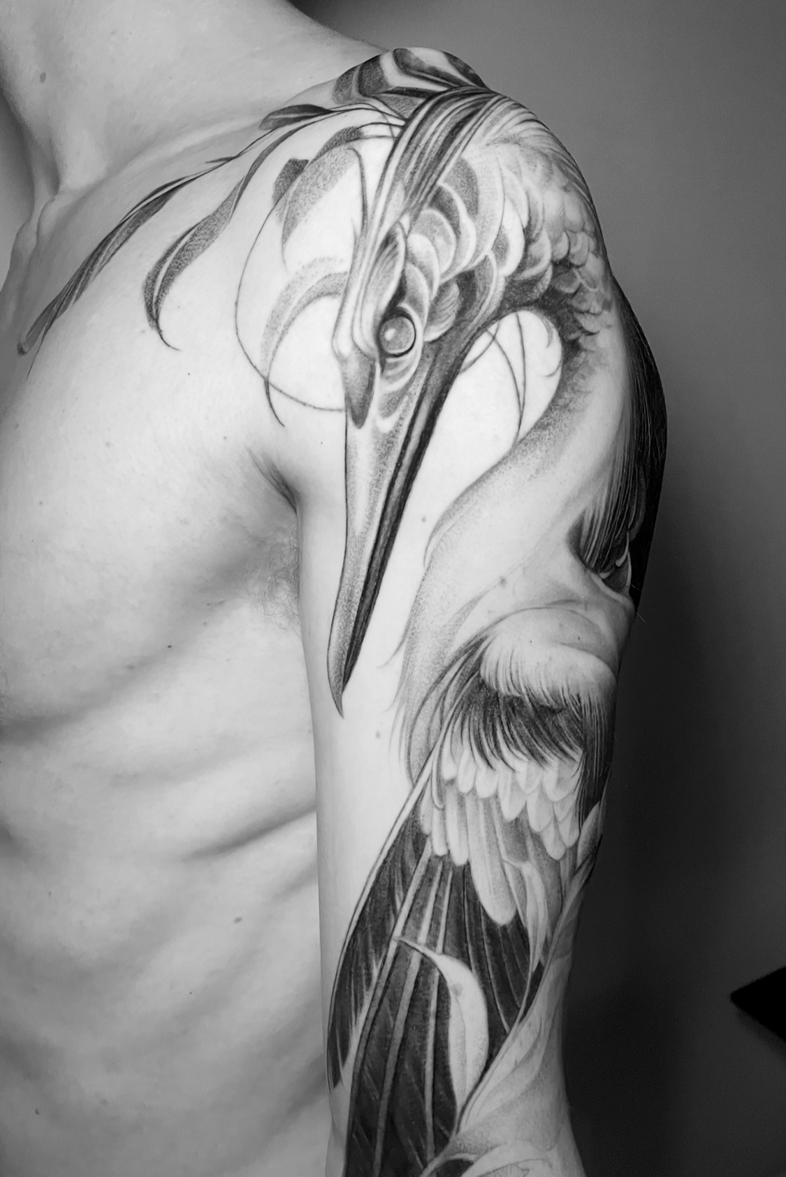 Sort-grå hejre-tatovering på skulder og arm