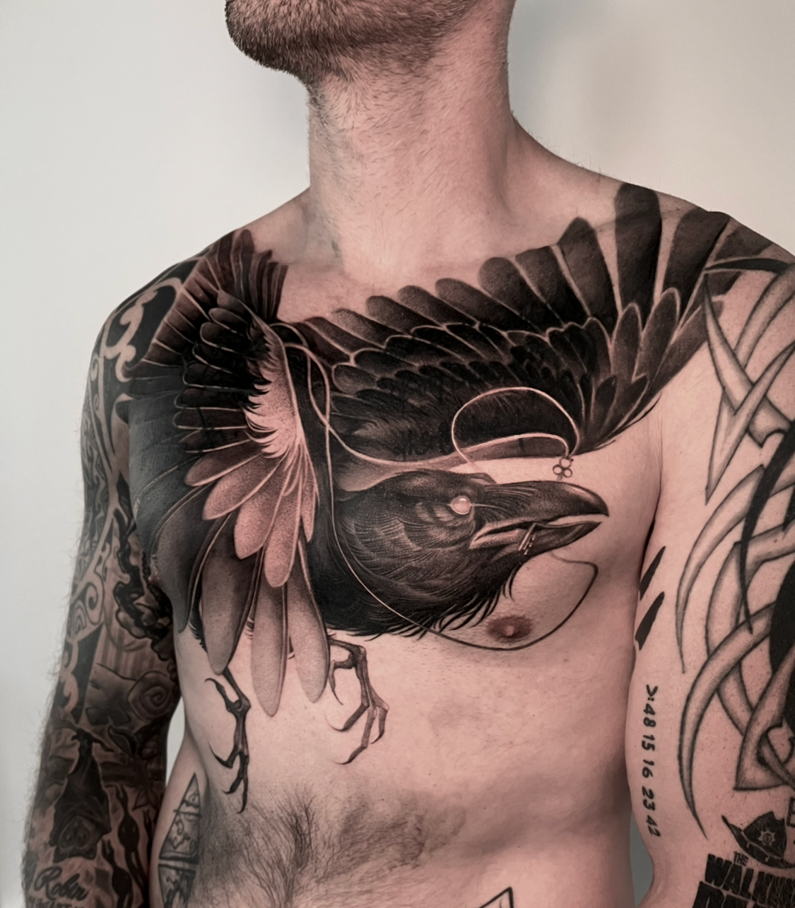Stor sort-grå ravn-tatovering på brystet med udstrakte vinger